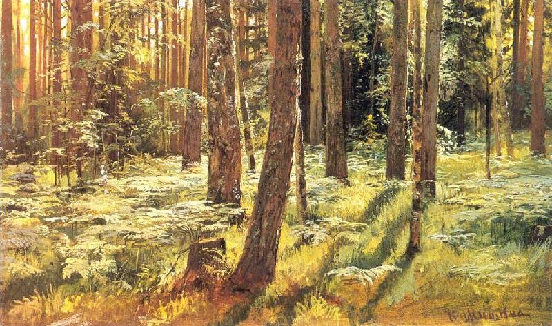 Ivan Shishkin Ferns in a Forest oil painting picture